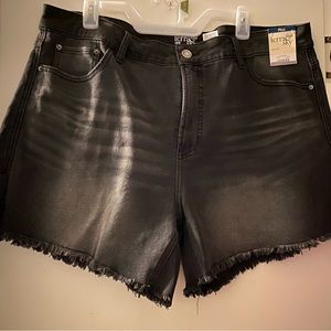 Terra & Sky Jean Shorts